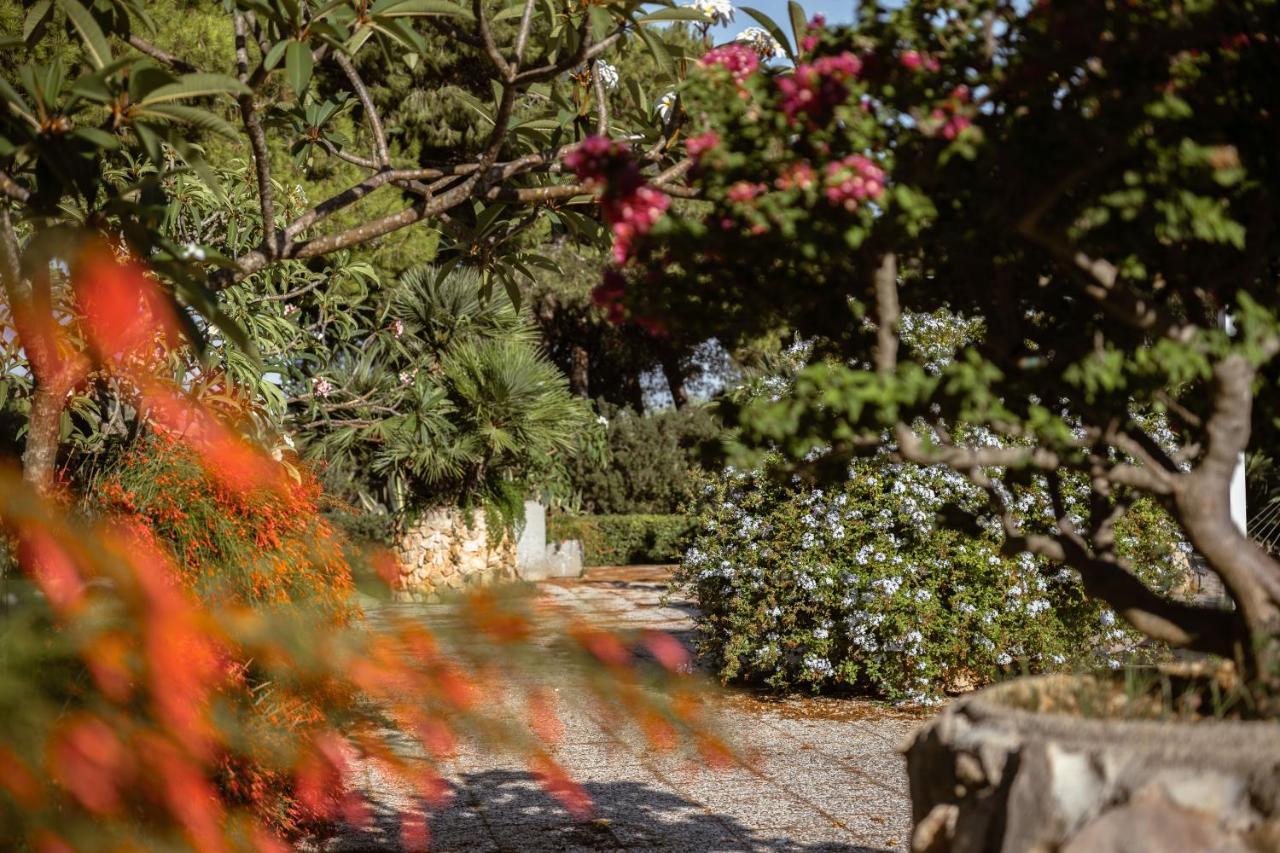 Appartement Giardino Dell'Impossibile Di Antonino Campo à Favignana Extérieur photo