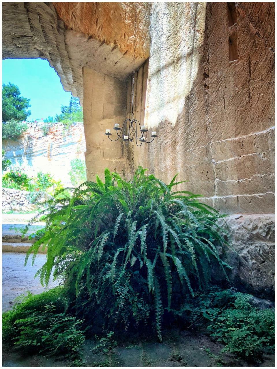 Appartement Giardino Dell'Impossibile Di Antonino Campo à Favignana Extérieur photo