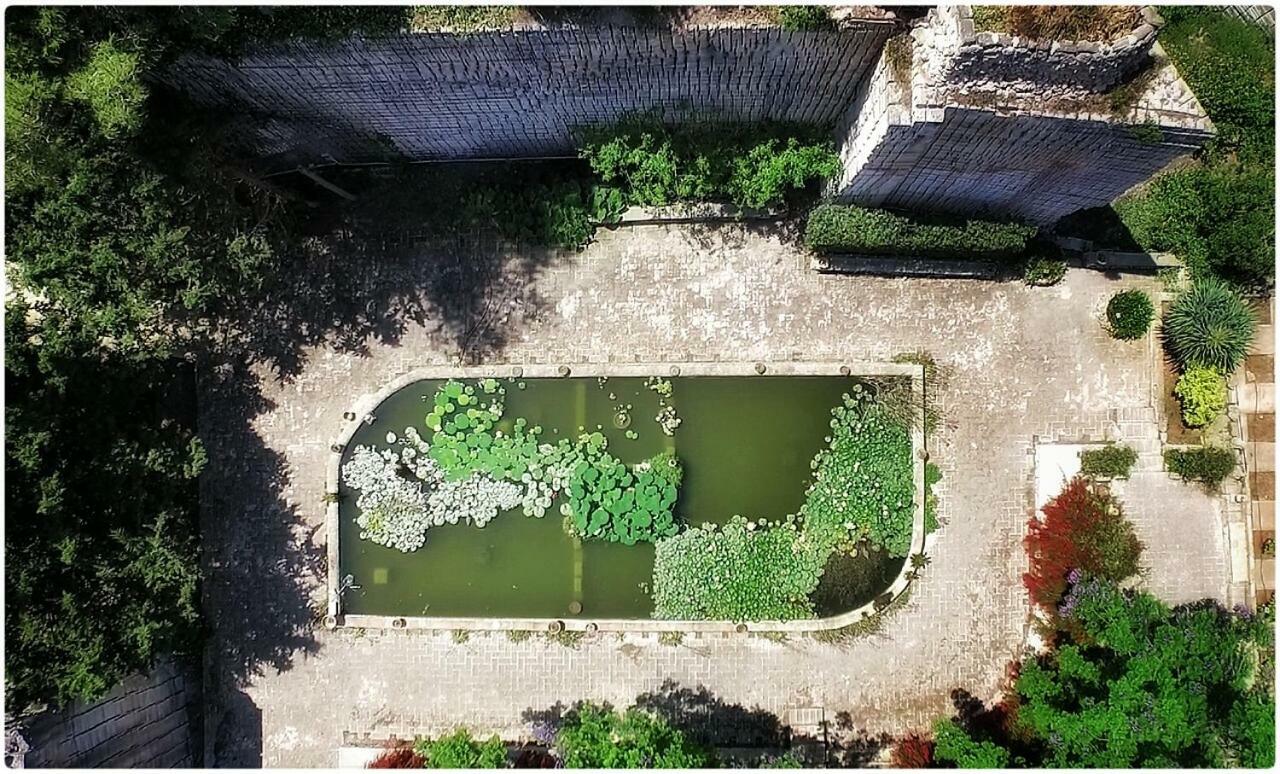 Appartement Giardino Dell'Impossibile Di Antonino Campo à Favignana Extérieur photo